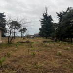 Satılır Torpaq Astara 20