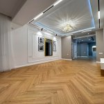 Satılır 3 otaqlı Yeni Tikili, Gənclik metrosu, Nərimanov rayonu 28