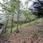 Satılır 10 otaqlı Bağ evi Şamaxı 42