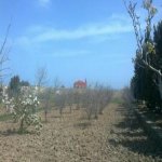 Satılır Torpaq, Maştağa qəs., Sabunçu rayonu 12