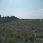 Satılır Torpaq, Xəzər rayonu 7