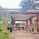 Kirayə (günlük) 3 otaqlı Bağ evi Lənkəran 2