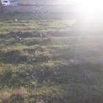 Satılır Torpaq, Saray, Abşeron rayonu 2