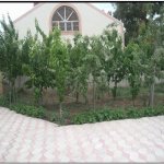 Kirayə (aylıq) 8 otaqlı Bağ evi, Bilgəh qəs., Sabunçu rayonu 34