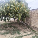 Продажа 3 комнатная Дома/Виллы, пос. Биня, Хязяр район 16