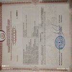 Satılır 4 otaqlı Bağ evi, Saray, Abşeron rayonu 25