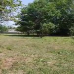 Satılır Torpaq Qəbələ 6