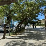Kirayə (aylıq) 2 otaqlı Köhnə Tikili, Nizami metrosu, Nəsimi rayonu 11