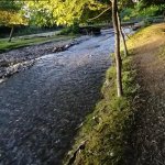 Satılır Torpaq Qəbələ 11