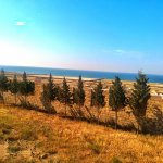 Продажа Участок, Новханы, Абшерон район 7