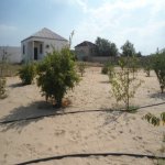 Satılır 5 otaqlı Bağ evi, Pirşağı qəs., Sabunçu rayonu 31