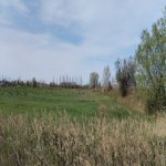 Продажа Участок Хачмаз 109