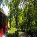Satılır 3 otaqlı Həyət evi/villa İsmayıllı 23