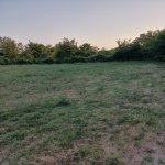 Satılır Torpaq Şəki 27