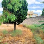 Satılır Torpaq, Qaraçuxur qəs., Suraxanı rayonu 22
