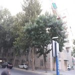 Kirayə (aylıq) 2 otaqlı Köhnə Tikili, 28 May metrosu, Nəsimi rayonu 3