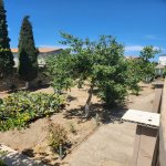 Satılır 8 otaqlı Həyət evi/villa, Buzovna, Xəzər rayonu 18