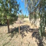 Satılır Torpaq, Novxanı, Abşeron rayonu 9
