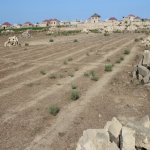 Satılır Torpaq, Savalan qəs., Sabunçu rayonu 1