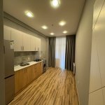 Аренда 2 комнатная Новостройка, м. Гянджлик метро, Насими район 10