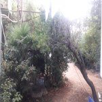 Продажа 3 комнат Вторичка, пос. Гарачухур, Сураханы район 16
