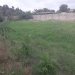 Satılır Torpaq, Maştağa qəs., Sabunçu rayonu 8