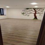 Kirayə (aylıq) Obyekt, Nəsimi rayonu 4