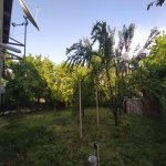 Kirayə (aylıq) 3 otaqlı Bağ evi Qusar 8