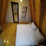Kirayə (günlük) 3 otaqlı Həyət evi/villa Qəbələ 11