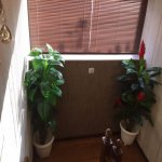 Satılır 10 otaqlı Bağ evi, Goradil, Abşeron rayonu 22