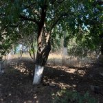 Продажа Участок, м. Ахмедли метро, пос. Старый Гуняшли, Хетаи район 4