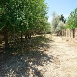 Satılır Torpaq, Goradil, Abşeron rayonu 8
