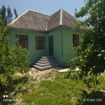 Kirayə (günlük) 3 otaqlı Bağ evi Qəbələ 2