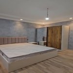 Kirayə (günlük) 3 otaqlı Həyət evi/villa Oğuz 8