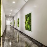 Kirayə (aylıq) 4 otaqlı Ofis, Nəriman Nərimanov metrosu, Nərimanov rayonu 5