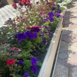 Satılır 6 otaqlı Həyət evi/villa, Novxanı, Abşeron rayonu 9
