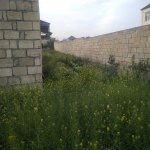 Satılır Torpaq, Novxanı, Abşeron rayonu 13
