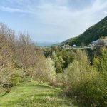 Satılır 3 otaqlı Həyət evi/villa İsmayıllı 8
