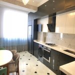 Kirayə (aylıq) 3 otaqlı Yeni Tikili, Nəriman Nərimanov metrosu, Nərimanov rayonu 12