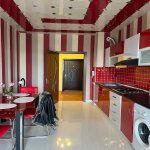 Kirayə (aylıq) 2 otaqlı Yeni Tikili, Nəriman Nərimanov metrosu, Heydər Əliyev Mərkəzi, Nərimanov rayonu 13