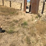 Satılır 5 otaqlı Bağ evi, Koroğlu metrosu, Bilgəh qəs., Sabunçu rayonu 1