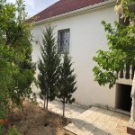 Kirayə (aylıq) 3 otaqlı Bağ evi, Novxanı, Abşeron rayonu 10