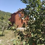 Kirayə (günlük) 4 otaqlı Həyət evi/villa Qusar 2