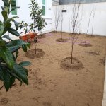 Продажа 4 комнат Дача, Мярдякан, Хязяр район 10