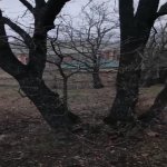 Satılır Torpaq Xızı 9