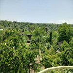 Kirayə (günlük) 4 otaqlı Həyət evi/villa Quba 12