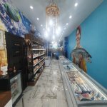 Kirayə (aylıq) Obyekt, 28 May metrosu, Nəsimi rayonu 8