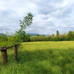 Продажа Участок Гябяля 4