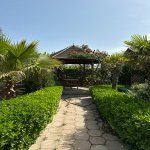 Kirayə (aylıq) 2 otaqlı Bağ evi, Nardaran qəs., Sabunçu rayonu 21