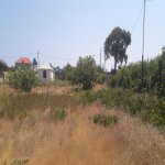 Satılır Torpaq, Saray, Abşeron rayonu 12